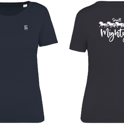 Ladies Faded T-Shirt - Small but Mighty