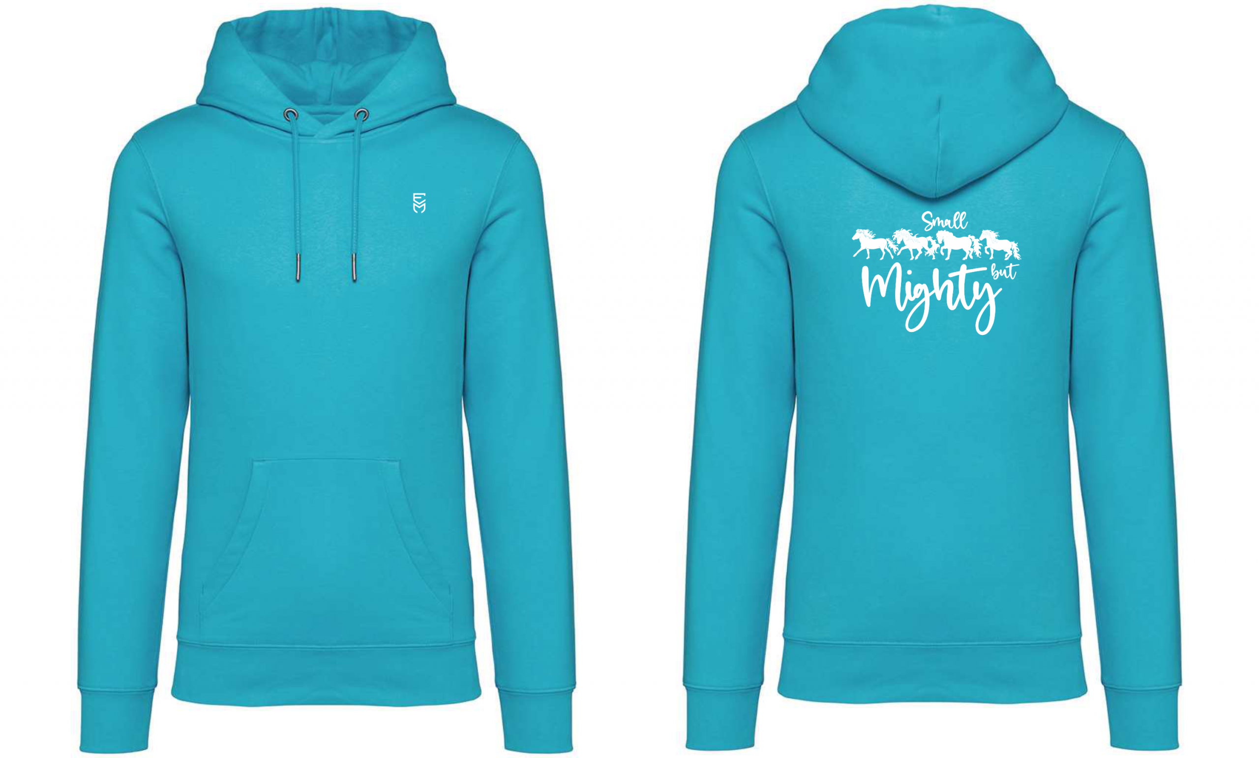 Unisex Heavyweight Hooded Sweatshirt - Small but Mighty