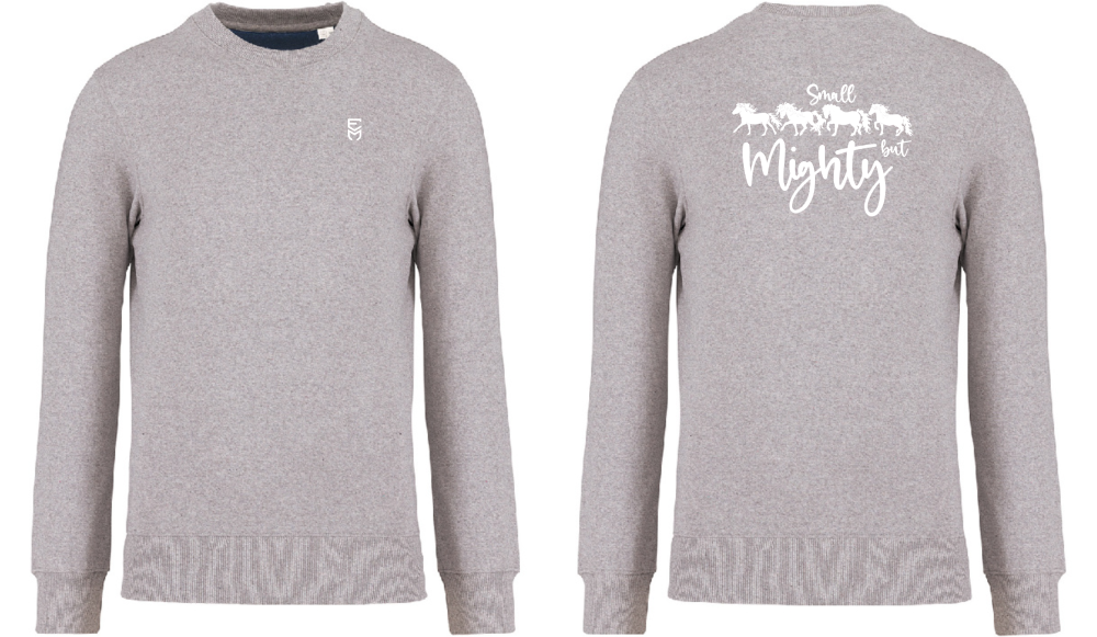Unisex Recycled Sweatshirt - Small but Mighty - Image 2
