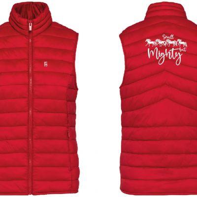 Ladies Light Recycled Bodywarmer - Small but Mighty