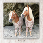 Albert & Ernie in Shetland Jumpers Card