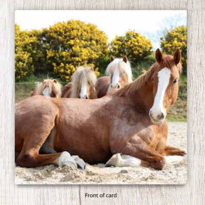 Ginger Horse & Ponies Card