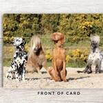 Dogs and Ponies Sitting Card