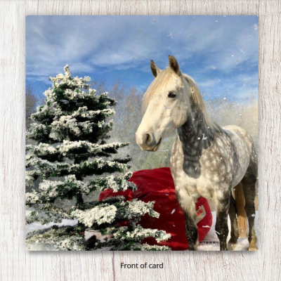 Pony in a Snowglobe Christmas Card