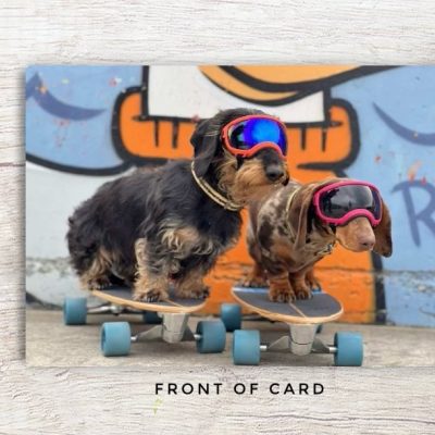 Skateboarding Daschunds Card