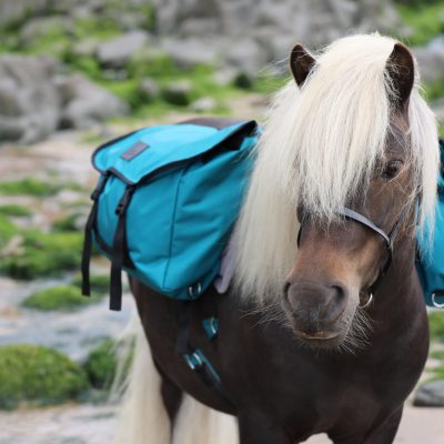 Pony Pack Saddle Set