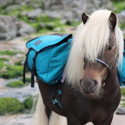 Pony Pack Saddle Set